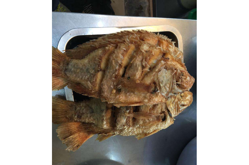 Cá Chiên Xù