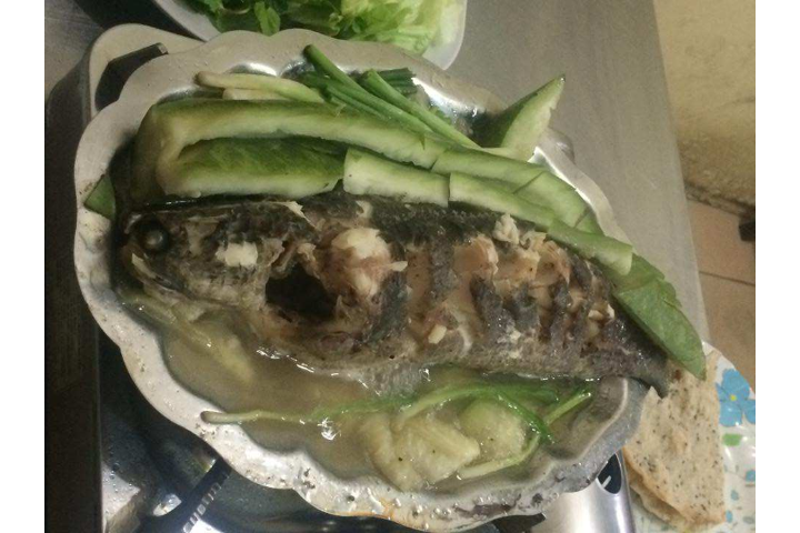 Cá Hấp Bầu