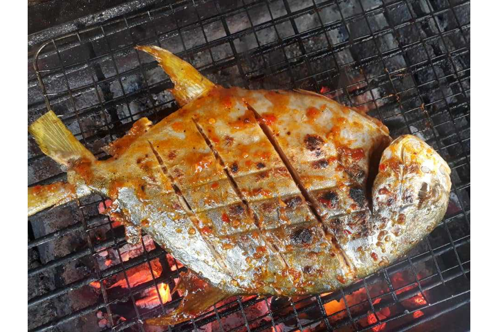 Cá Chim Biển Nướng