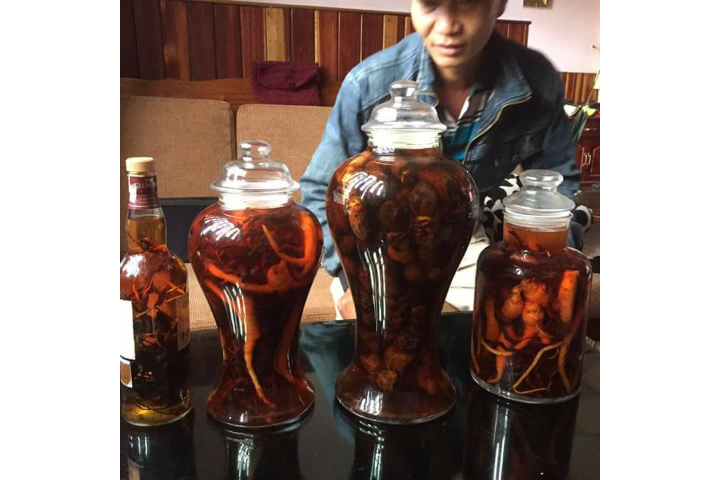 Rượu Đông Trùng Hạ Thổ
