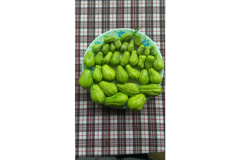 Su Su Luộc