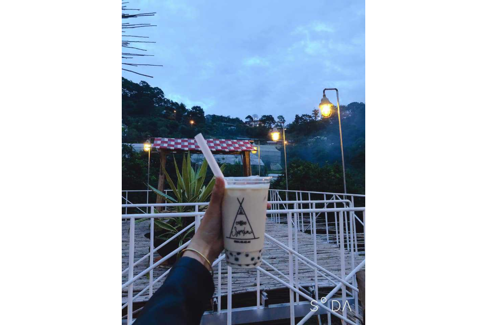 Sữa Tươi Trân Châu