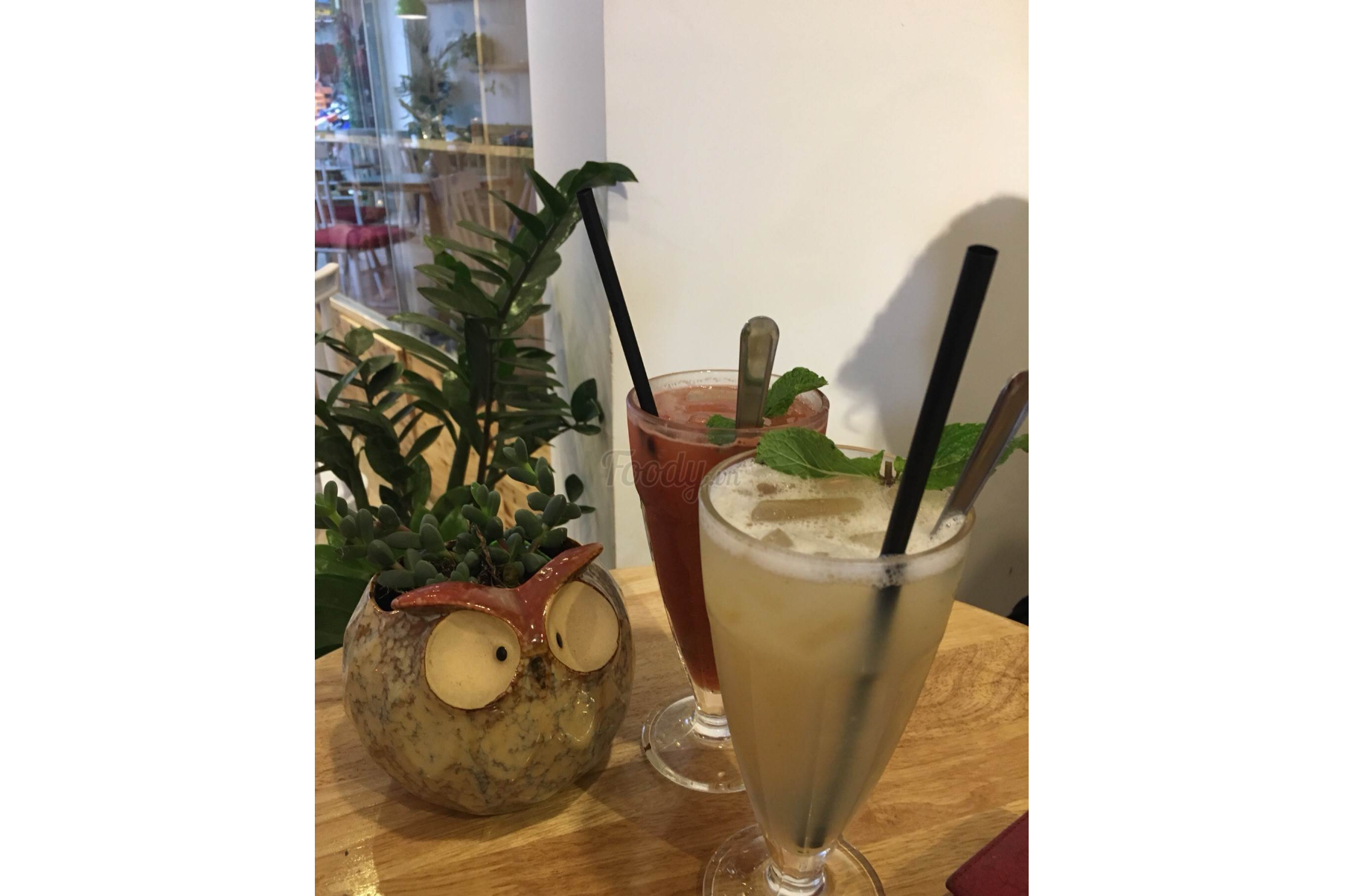 Nước Ép Bưởi