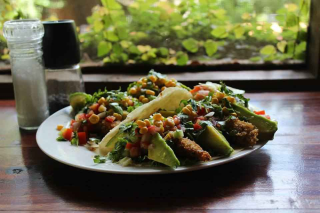Bánh Taco Cá