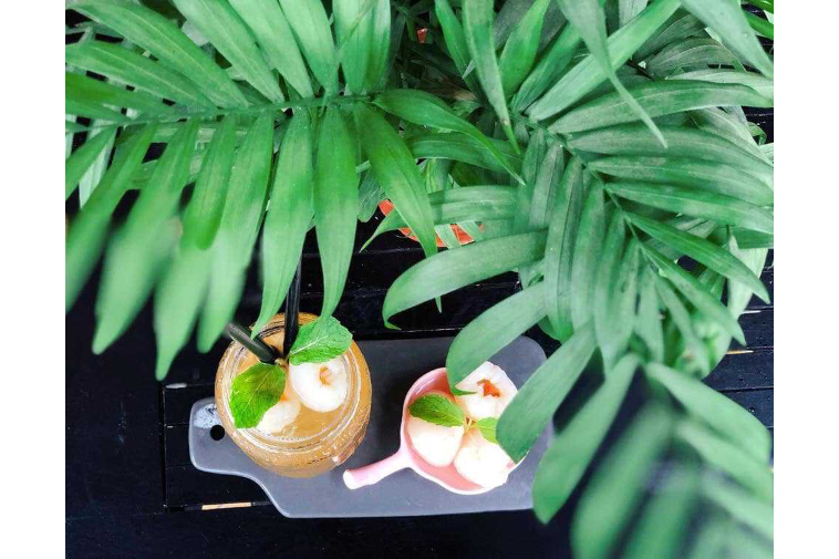 Trà Vải