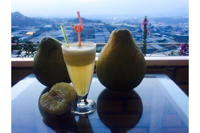 Nước Ép Bưởi