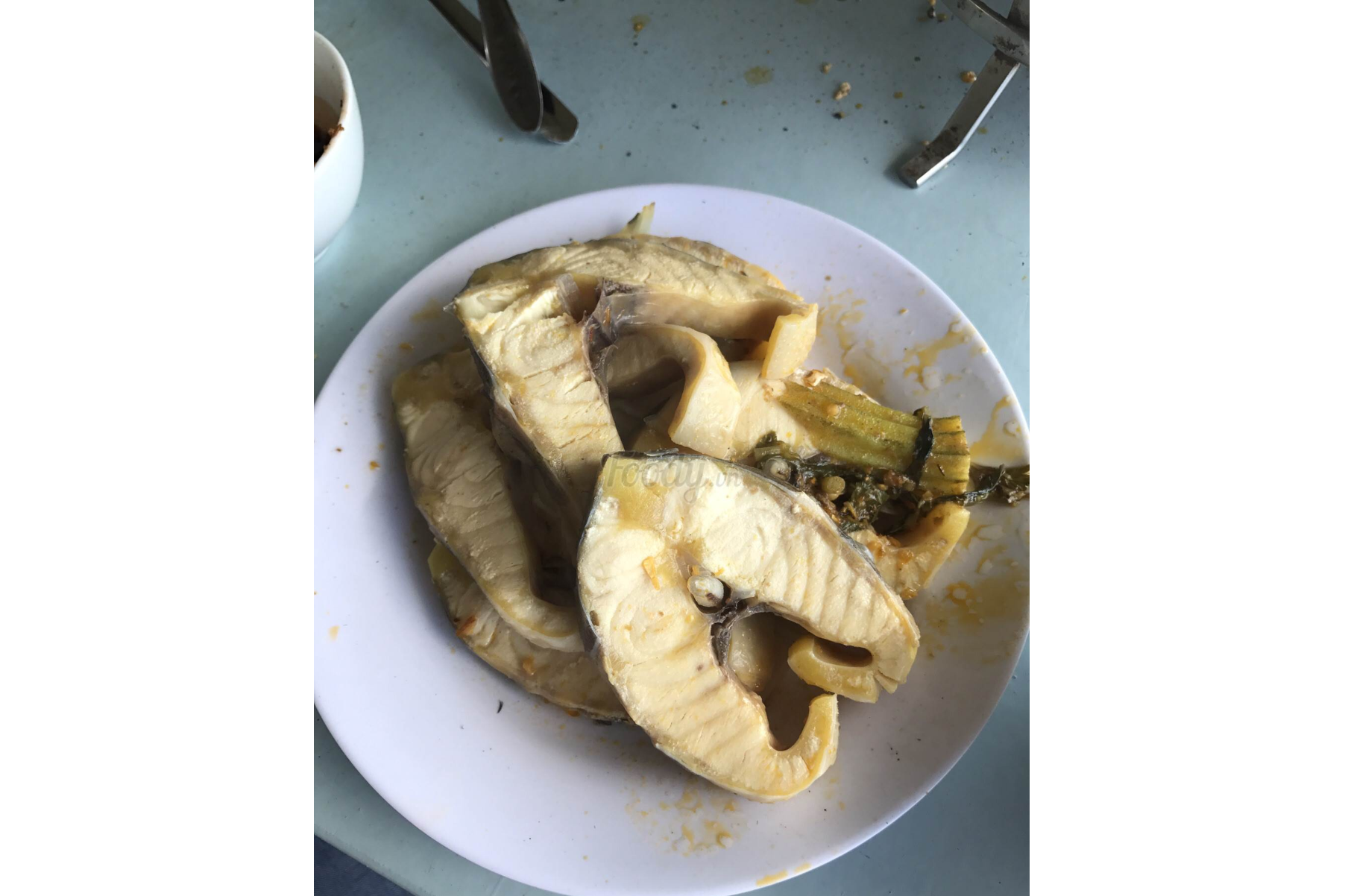 Cá Tầm
