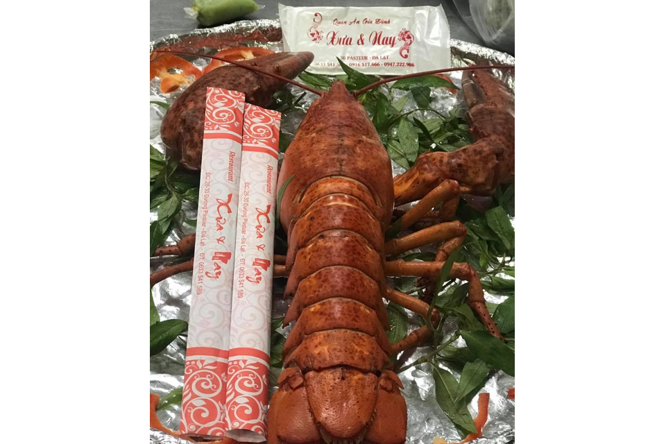 Tôm Hùm