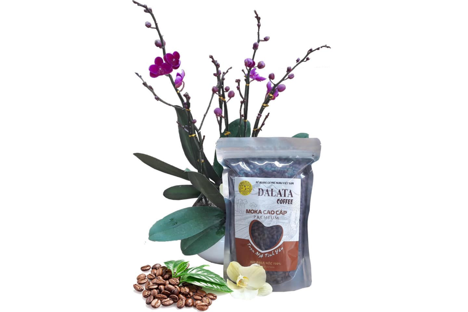 Cà phê Robusta 2 in 1