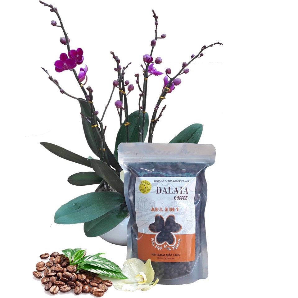 Cà phê Arabica 3 in 1