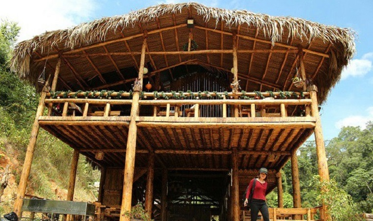 Dựng nhà gỗ lớn giữa rừng, không dùng 1 cái đinh sắt