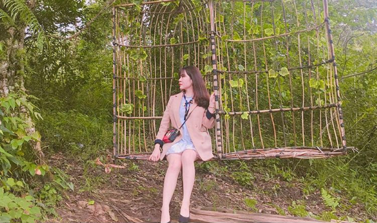 Hóa công chúa ngủ trong rừng phiên bản "xích đu tổ chim" giữa khu vườn thần tiên HOT nhất Đà Lạt