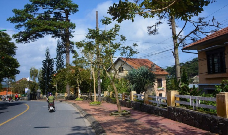 Vẻ đẹp của tường rào Đà Lạt