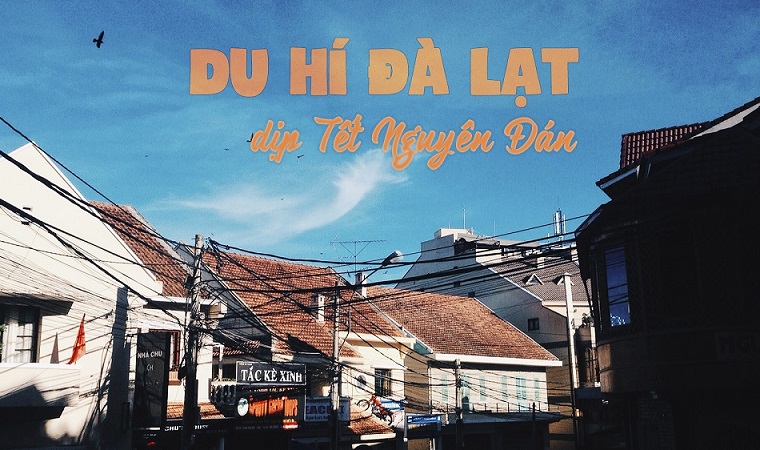 Gợi ý 48h du hí đà lạt dịp tết nguyên đán
