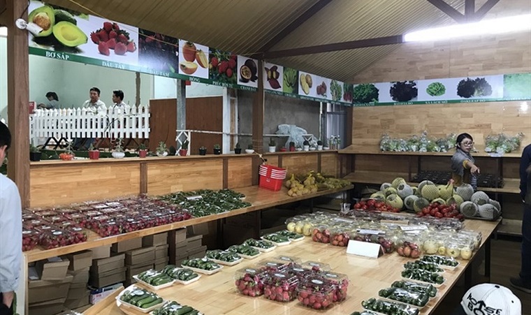 Du lịch canh nông tạo đột phá tăng trưởng