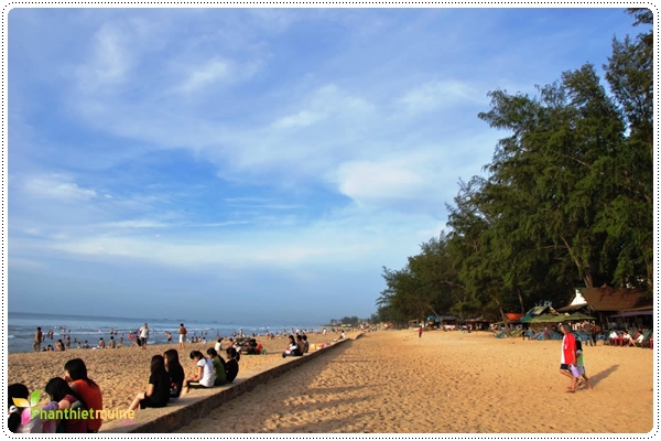 Bãi biển Đồi dương