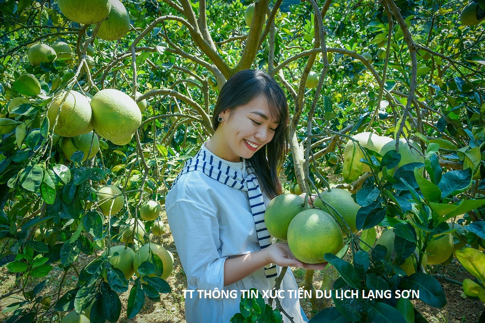 Lạng Sơn kết nối phát triển Du lịch gắn với sản phẩm OCOP