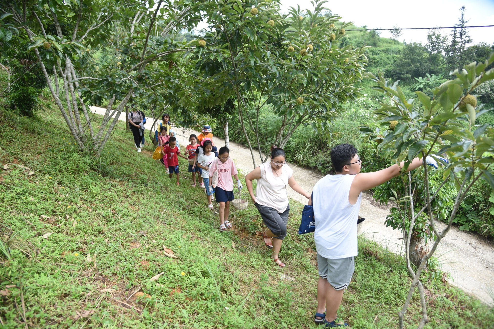 Phát triển du lịch xanh: Hướng đi nhiều triển vọng