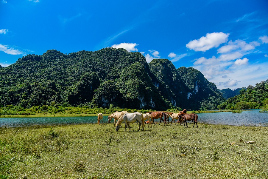 Công viên Địa chất là gì?
