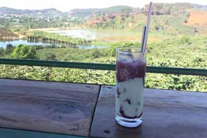 Sữa chua dâu tằm (đá)