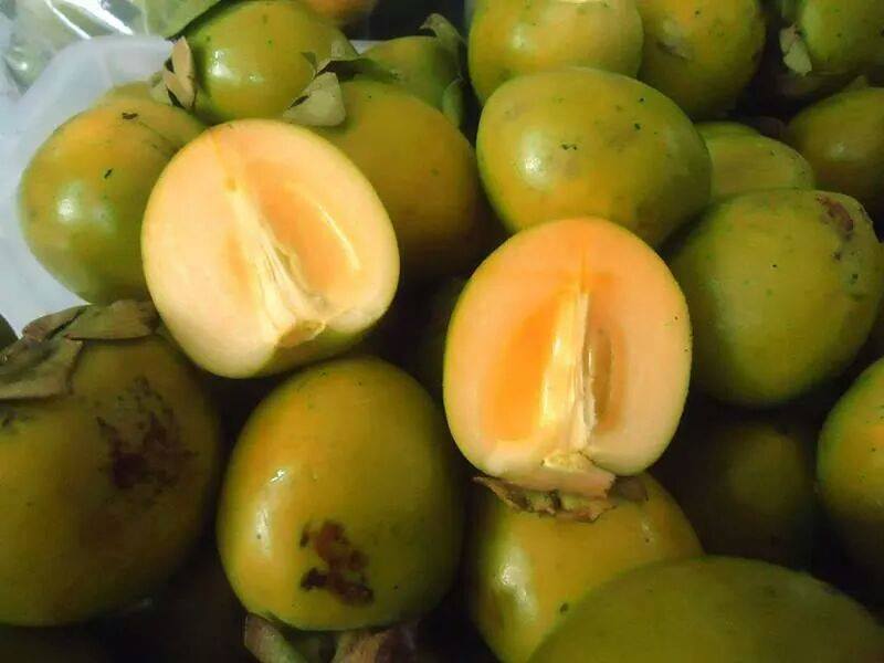 Hồng giòn