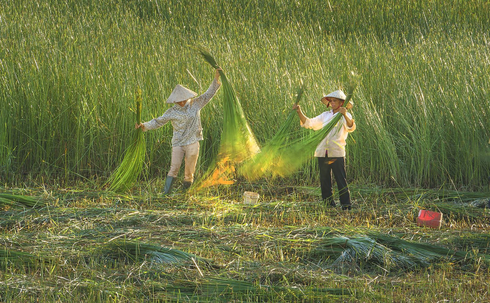 Giới thiệu một số kênh quảng bá Du lịch nông nghiệp nông thôn