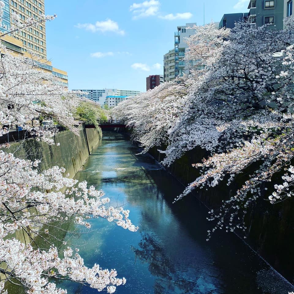 Nhật Bản đã làm du lịch như thế nào _ Phần 1