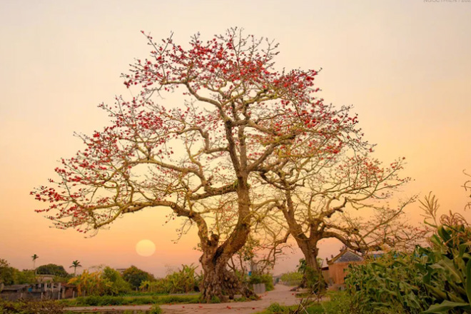 Trải nghiệm các điểm du lịch hấp dẫn tại huyện Kiến Xương.