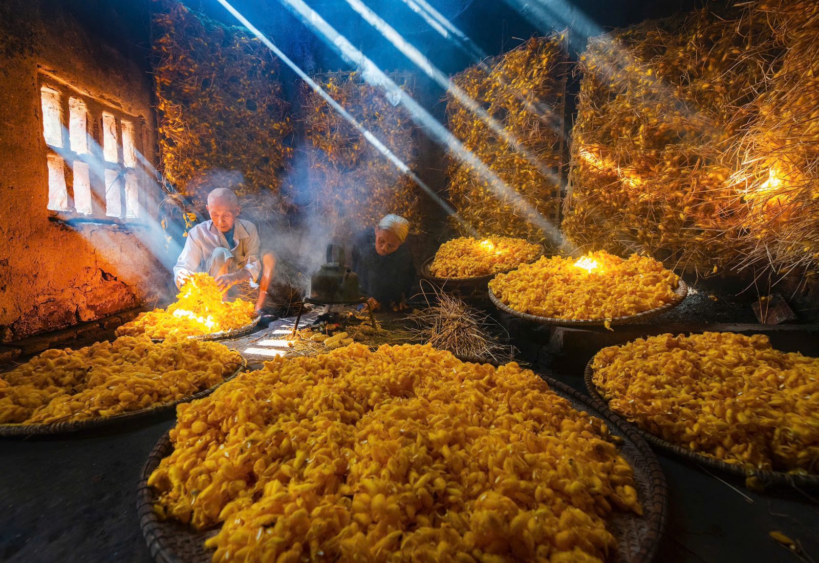 Lan tỏa vẻ đẹp đất và người Thái Bình qua nghệ thuật nhiếp ảnh