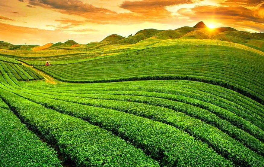 HỖ TRỢ TUYÊN TRUYỀN VÀ THAM GIA BÌNH CHỌN KHU DU LỊCH QUỐC GIA MỘC CHÂU