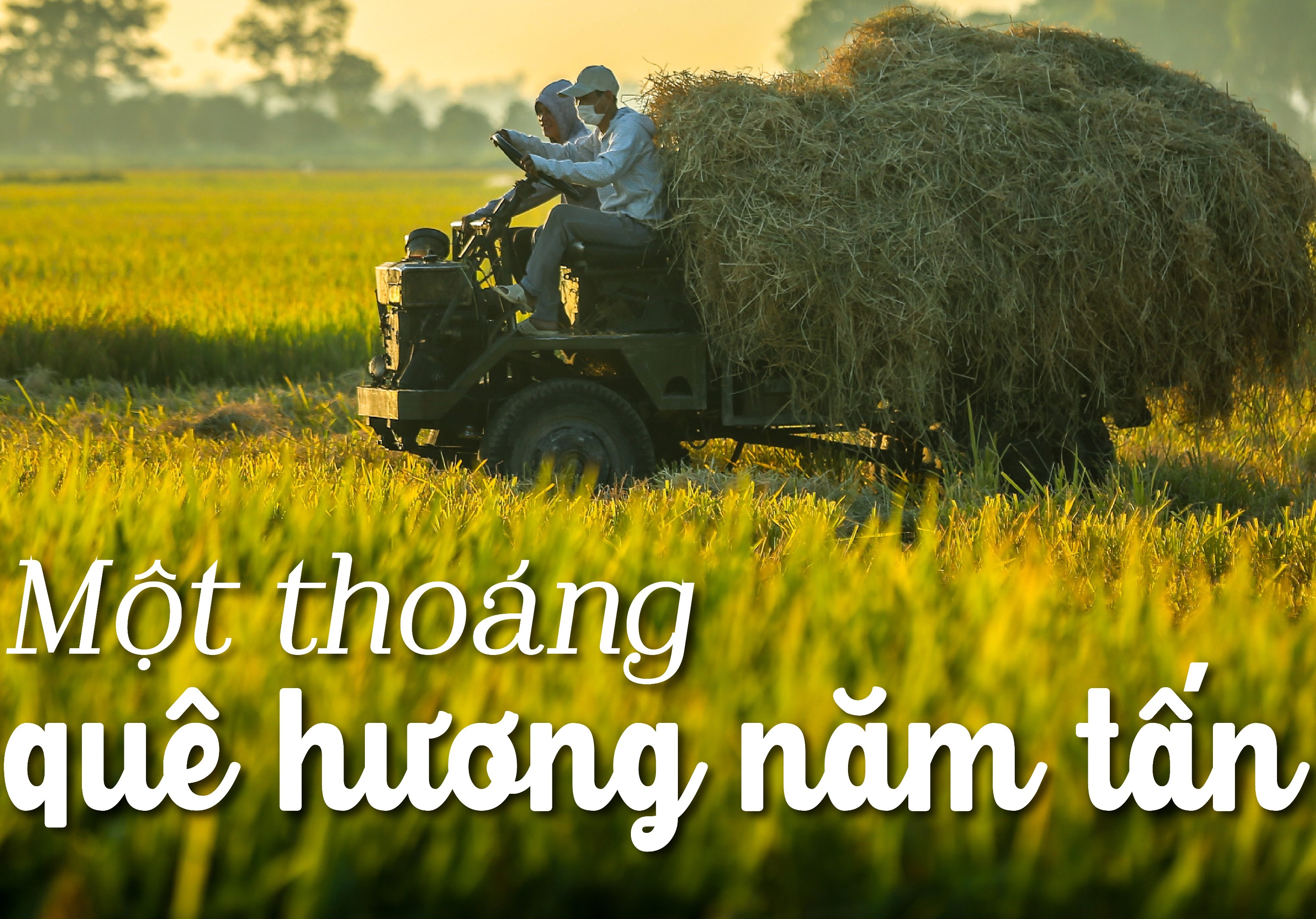 Một thoáng quê hương năm tấn