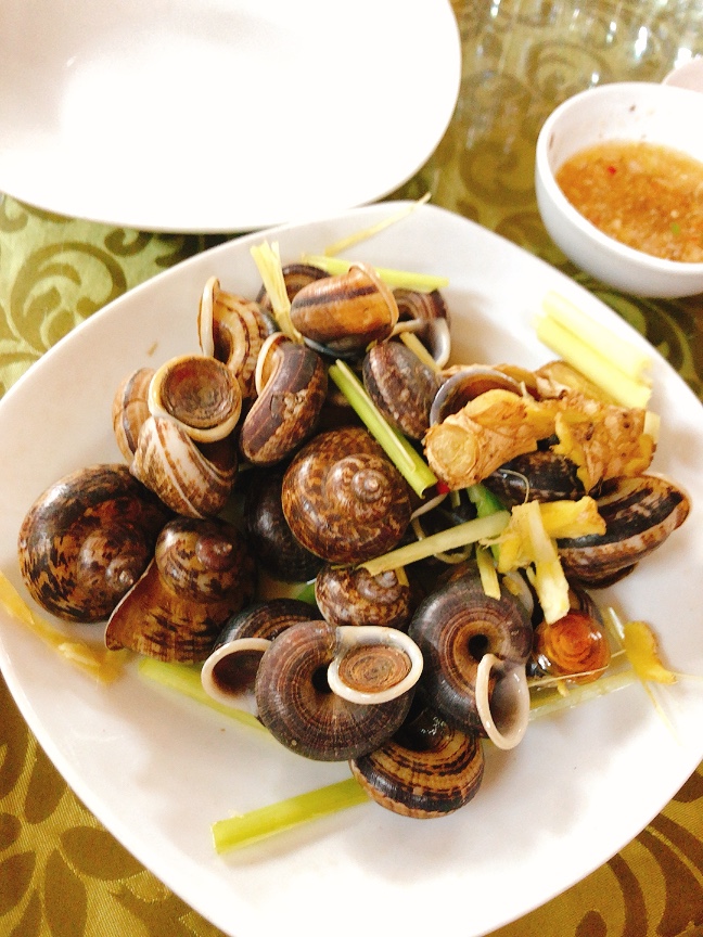 Mountain snails