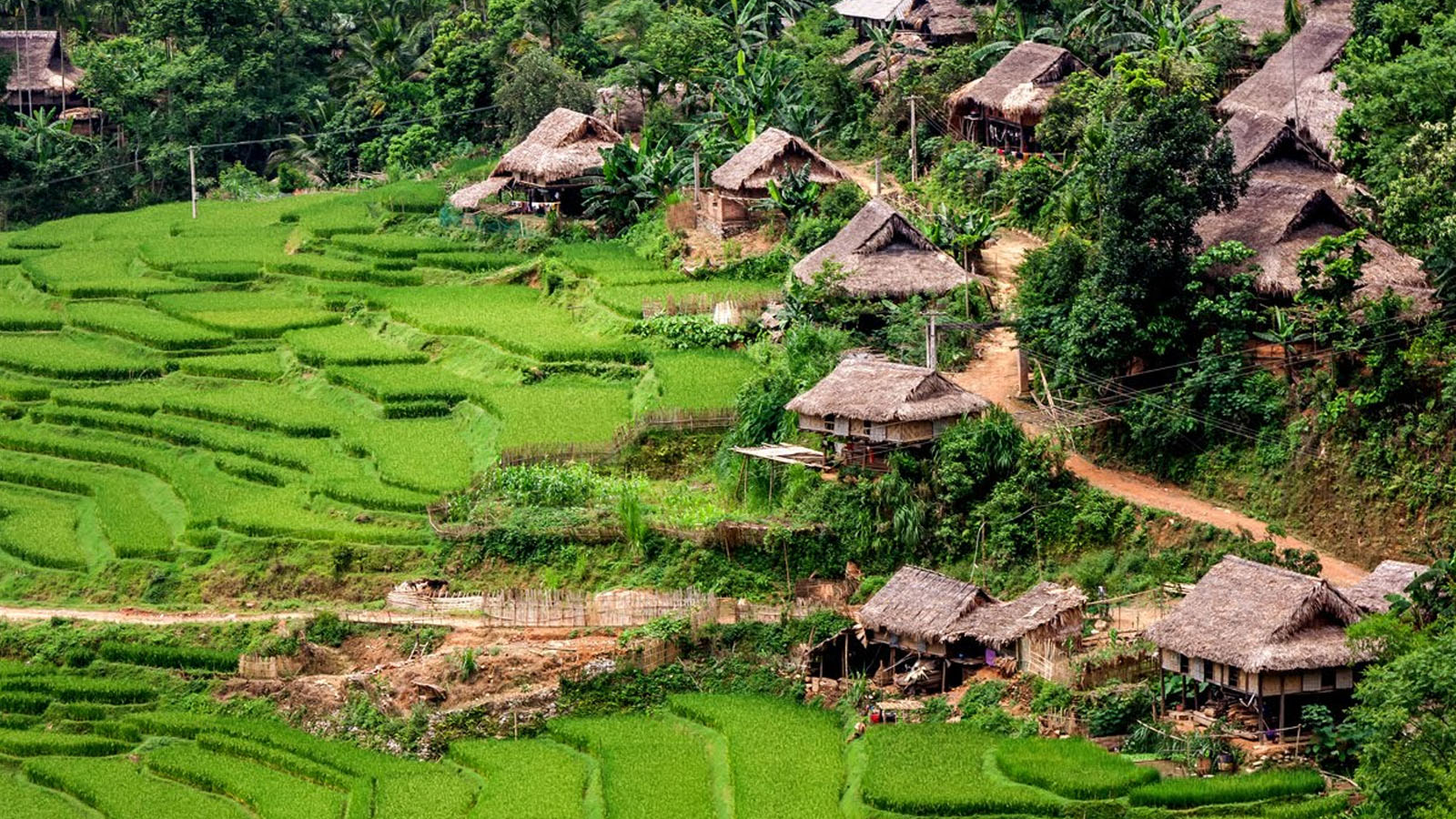 Amazed by the poetic beauty of Ban Kho Muong