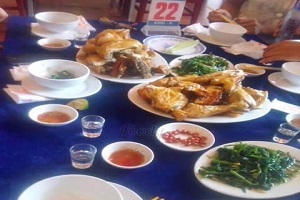 Minh Hoạch - Nhà Hàng Gà Tươi