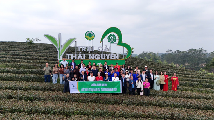 Chương trình Famtrip giới thiệu “Tứ đại danh trà Thái Nguyên” năm 2024