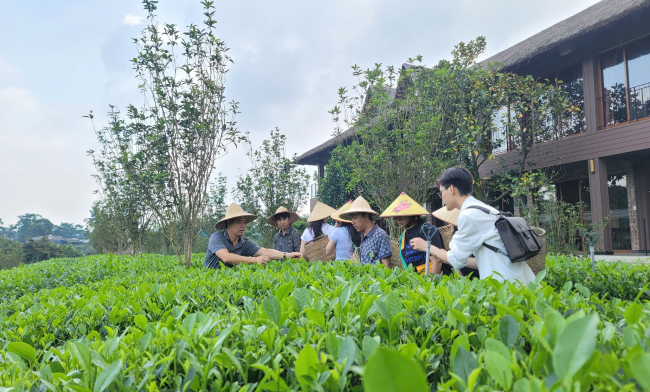 Đoàn nhạc công Thái Lan tham quan một số điểm du lịch  trên địa bàn tỉnh Thái Nguyên