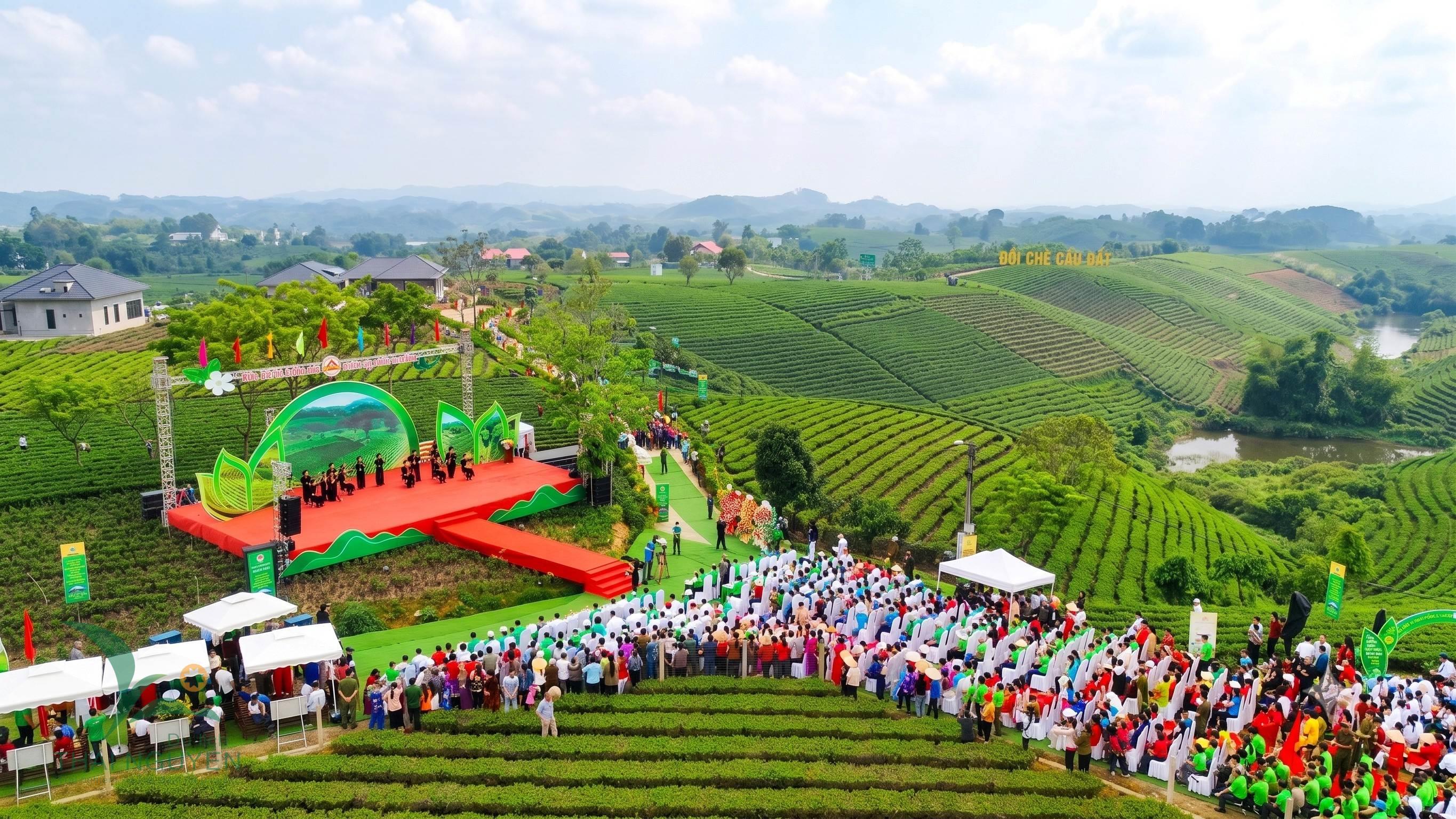Festival Trà Quốc tế - Thái Nguyên 2026: Điểm hẹn của văn hóa trà và du lịch