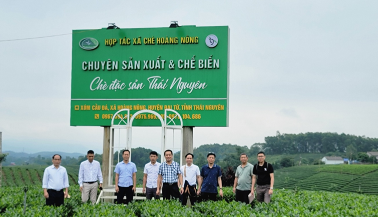 Khảo sát một số vùng chè có tiềm năng khai thác du lịch tại tỉnh Thái Nguyên