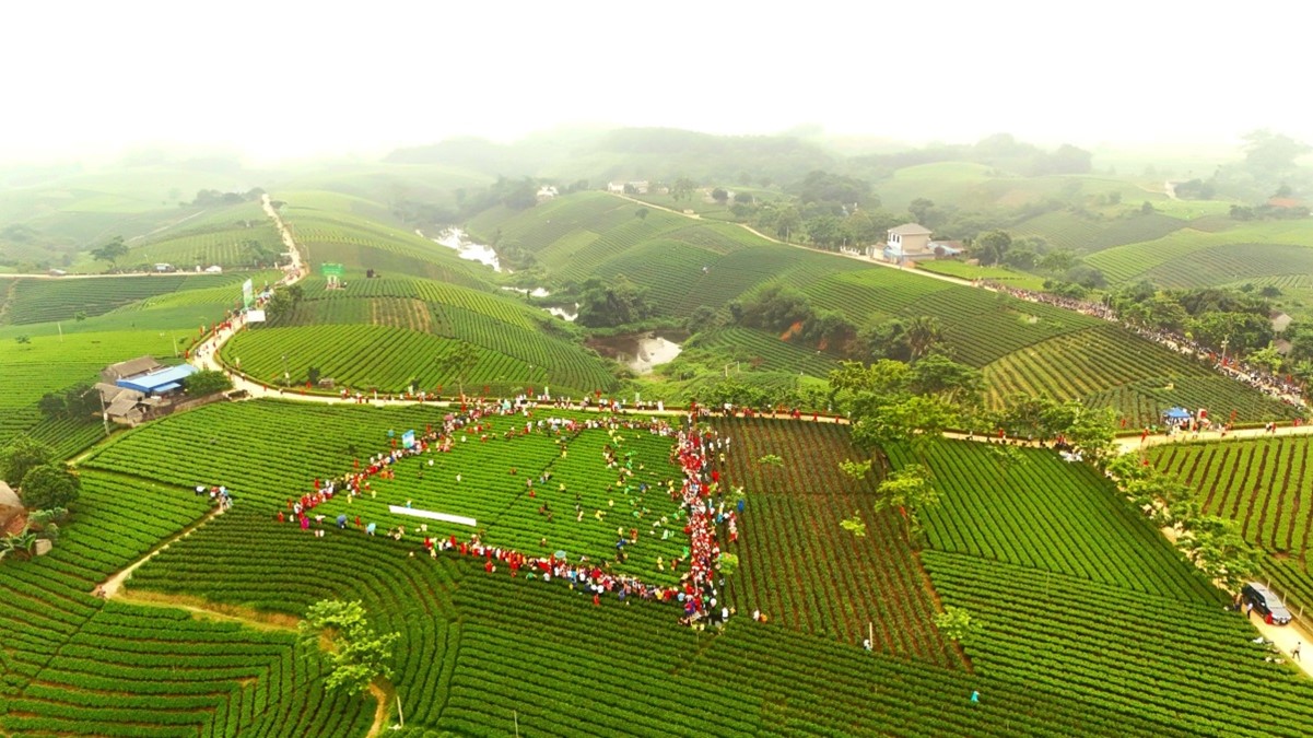 Hội thi "Bàn tay vàng hái chè nhanh" góp phần quảng bá hình ảnh, thương hiệu chè Đại Từ đến với du khách trong và ngoài nước.