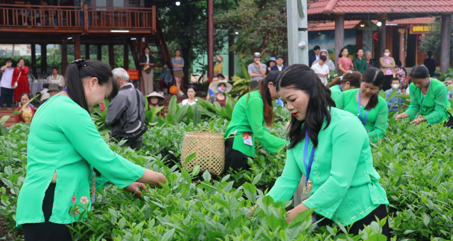 Khai mạc Lễ hội “Hương sắc Trà xuân- Vùng chè đặc sản Tân Cương” Xuân Giáp Thìn năm 2024