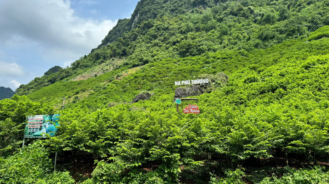  Trải nghiệm lũng na tại xã Phú Thượng, huyện Võ Nhai