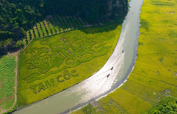 Tuần Du lịch Ninh Bình 2023 - "Sắc vàng Tam Cốc - Tràng An"  diễn ra từ ngày 27/5 đến 4/6