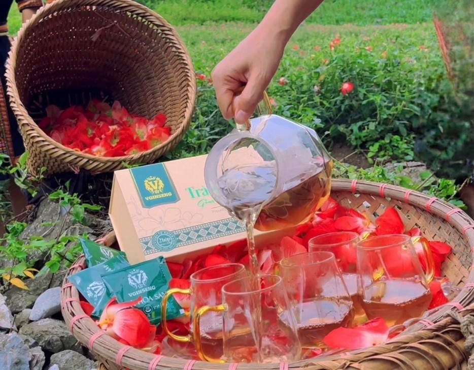 Trà hoa sâm- Món quà quý từ núi rừng Thái Nguyên