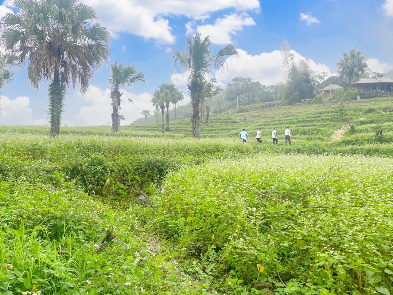 Thái Nguyên đảm bảo hoạt động du lịch trong kỳ nghỉ lễ 30-4, 1-5  và ngày Giỗ tổ Hùng Vương 10/3 âm lịch
