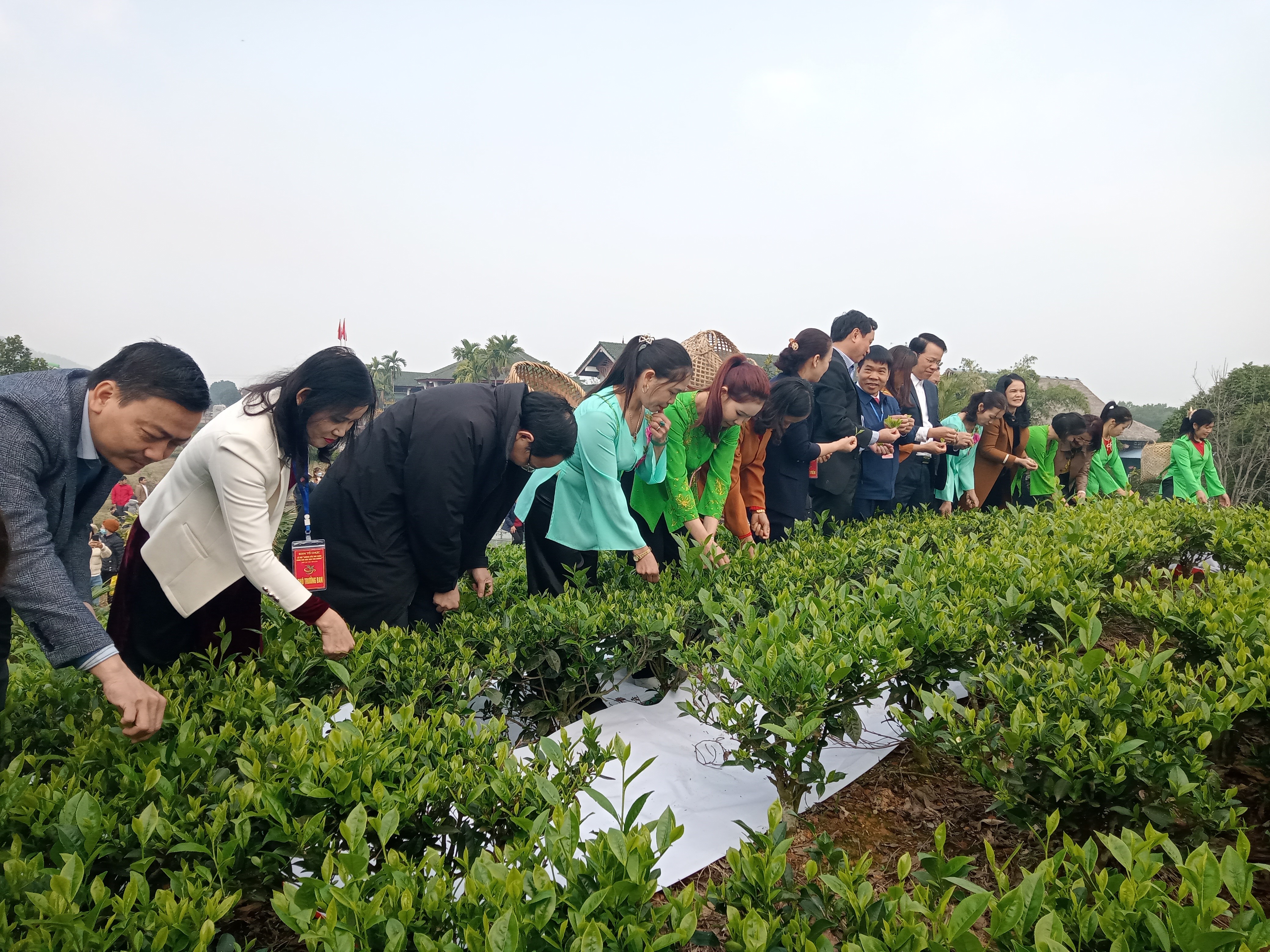 Sôi nổi các hoạt động tại Lễ hội “ Hương  sắc trà xuân - Vùng chè đặc sản Tân Cương” xuân Quý Mão 2023