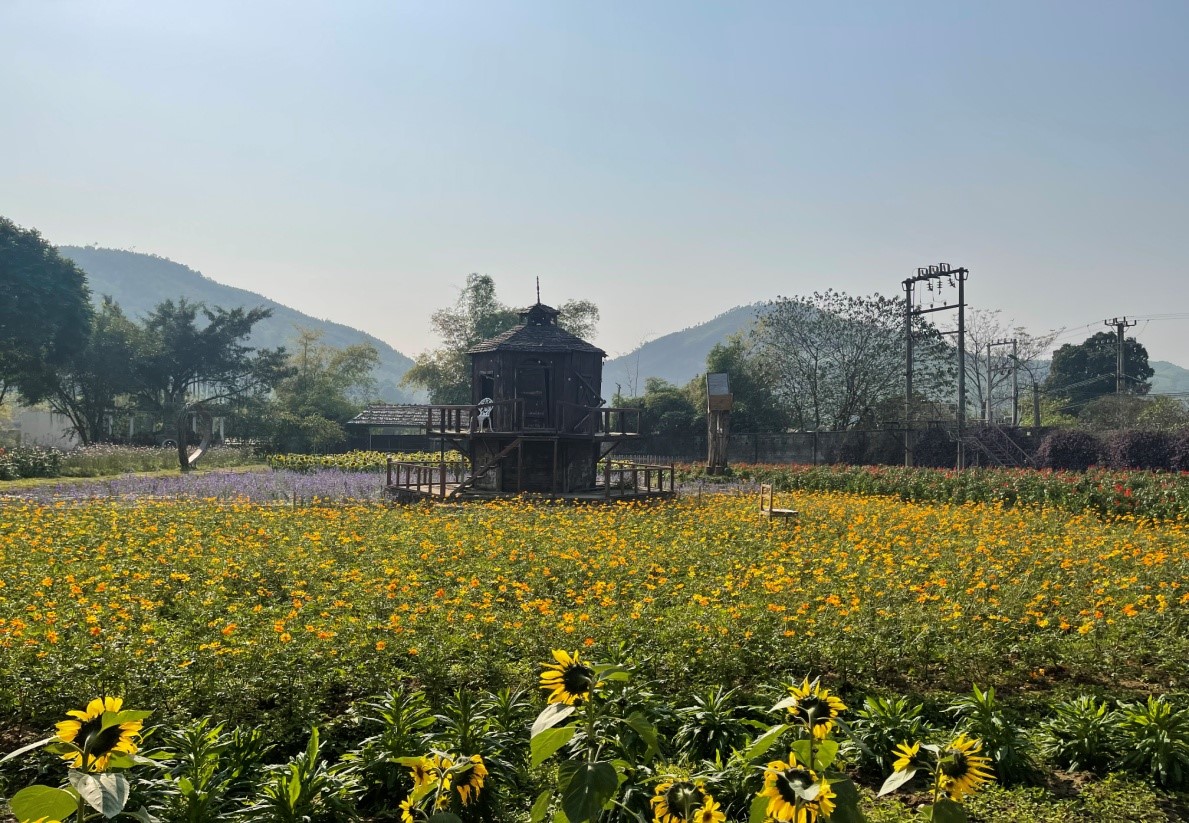 Rực rỡ sắc xuân tại phim trường Wonderland