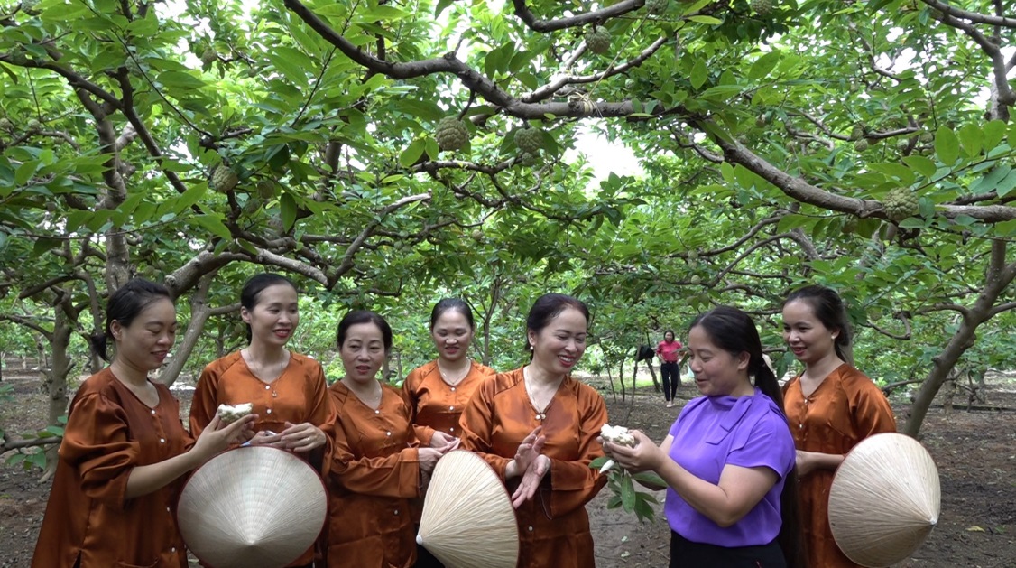 Võ Nhai - Nơi trải nghiệm mùa quả ngọt