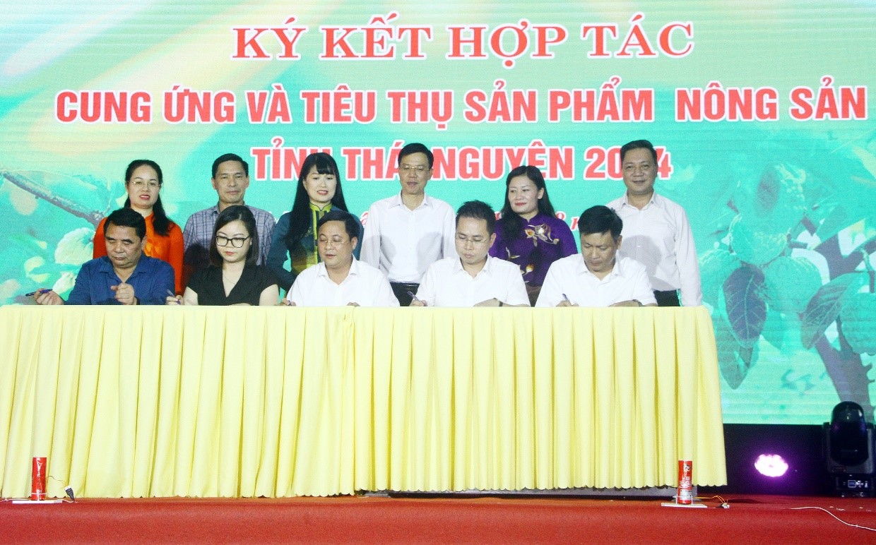 Huyện Võ Nhai tổ chức chương trình xúc tiến, kết nối  tiêu thụ sản phẩm na Võ Nhai năm 2024