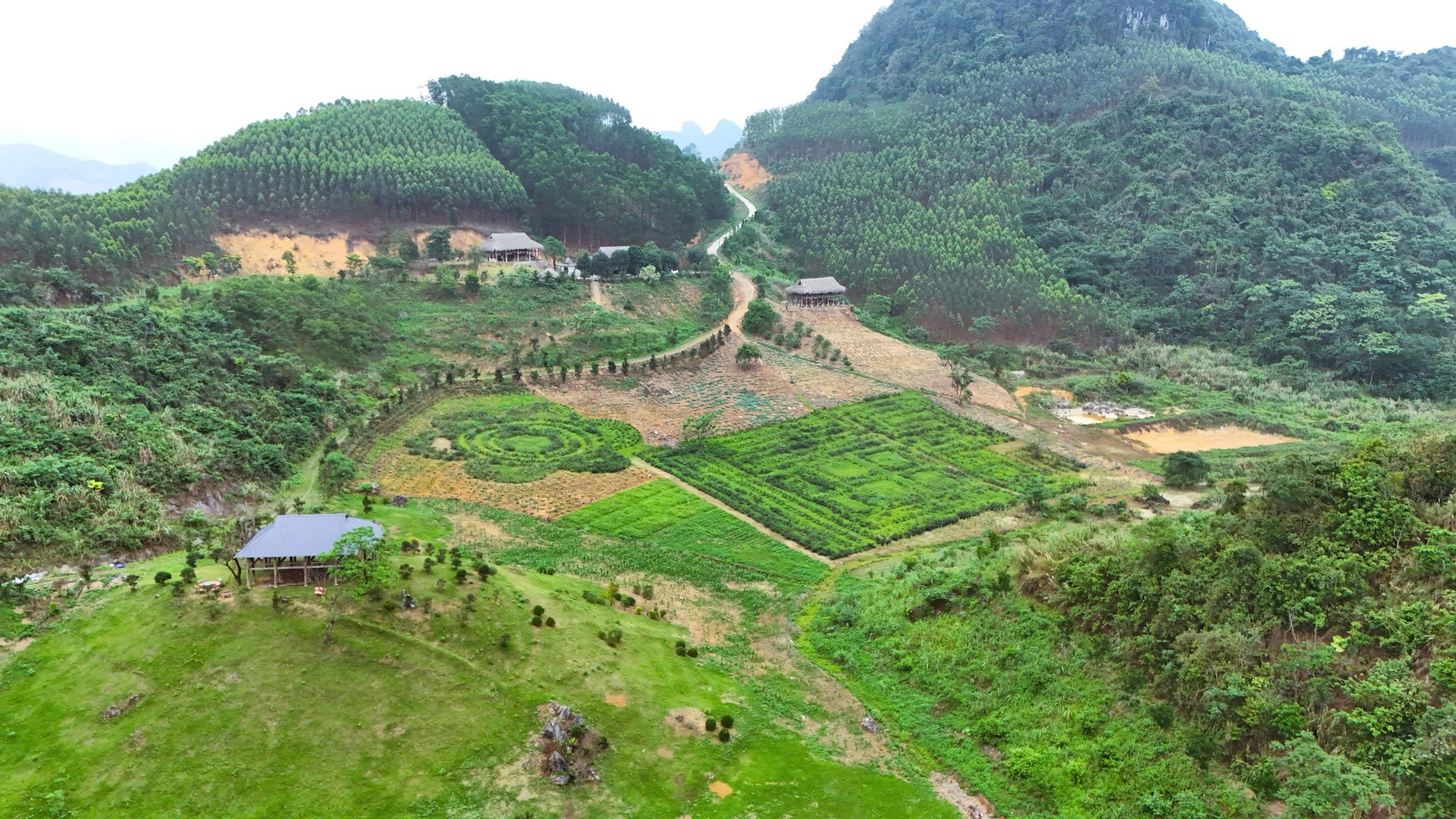 Cao nguyên Đông Bo farmstay – Địa điểm săn mây thú vị tại Thái Nguyên