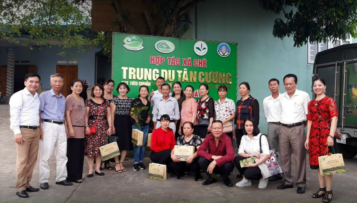 Tập huấn kỹ thuật sản xuất chè hữu cơ gắn với du lịch cộng đồng 